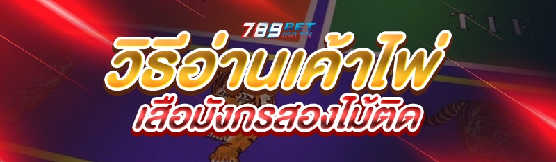 วิธีอ่านเค้าไพ่เสือมังกรสองไม้ติด