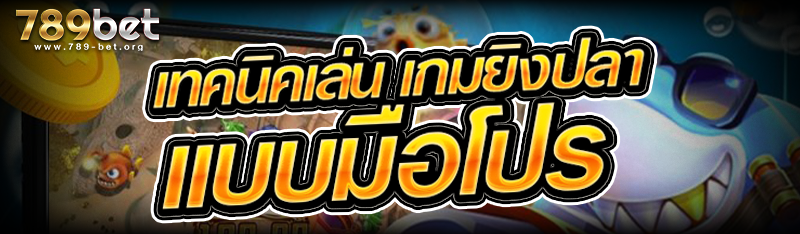 เทคนิคเล่น เกมยิงปลา แบบมือโปร